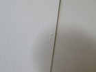 Bild 6 von 10