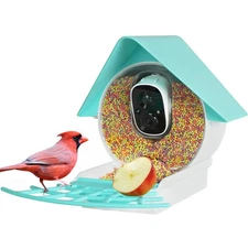 Birdkiss Smart Bird Feeder Camera AI Identifies Species Solar Panel