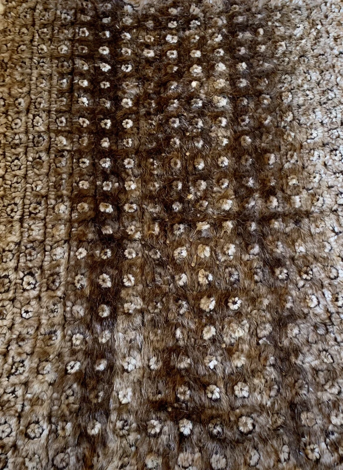 Precioso tiro de piel, verdaderamente único en su clase, muy raro, un valor de $4,000 Foto 4 de 4