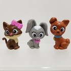 Foto 1 di 6