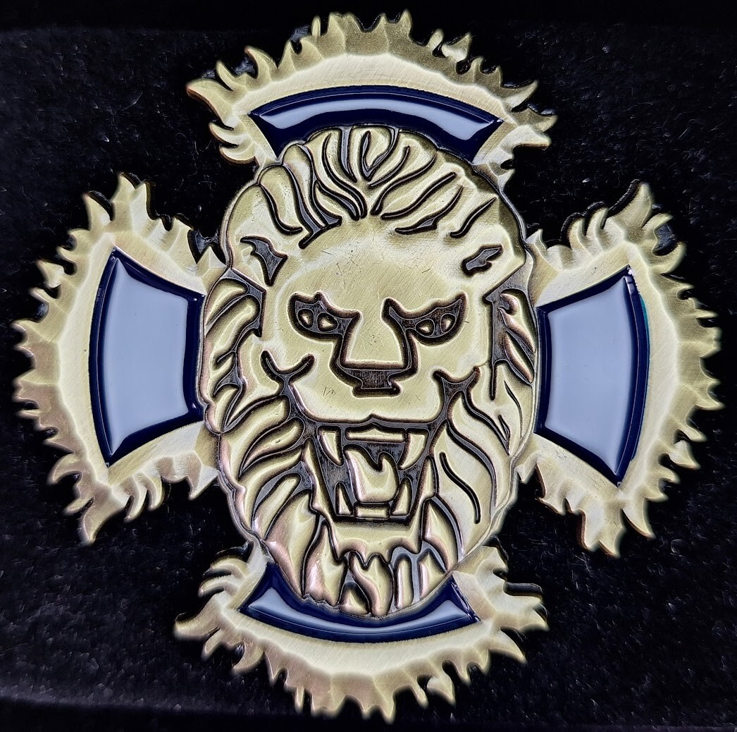 DDG-55 USS Stout Chief Navy Challenge Coin with Lion Design  