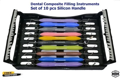 NTZ INSTRUMENTS LM-ARTE Dental Ergo Max Set Of 10 Aesthetic Restorations & Composite Layering CE