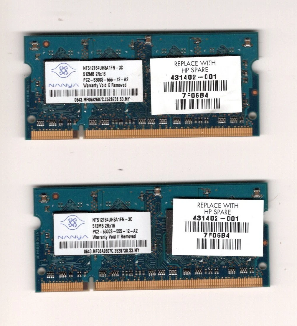 Nanya PC2-5300 DDR2-667 Computer Memory (RAM) 512 MB Capacity per