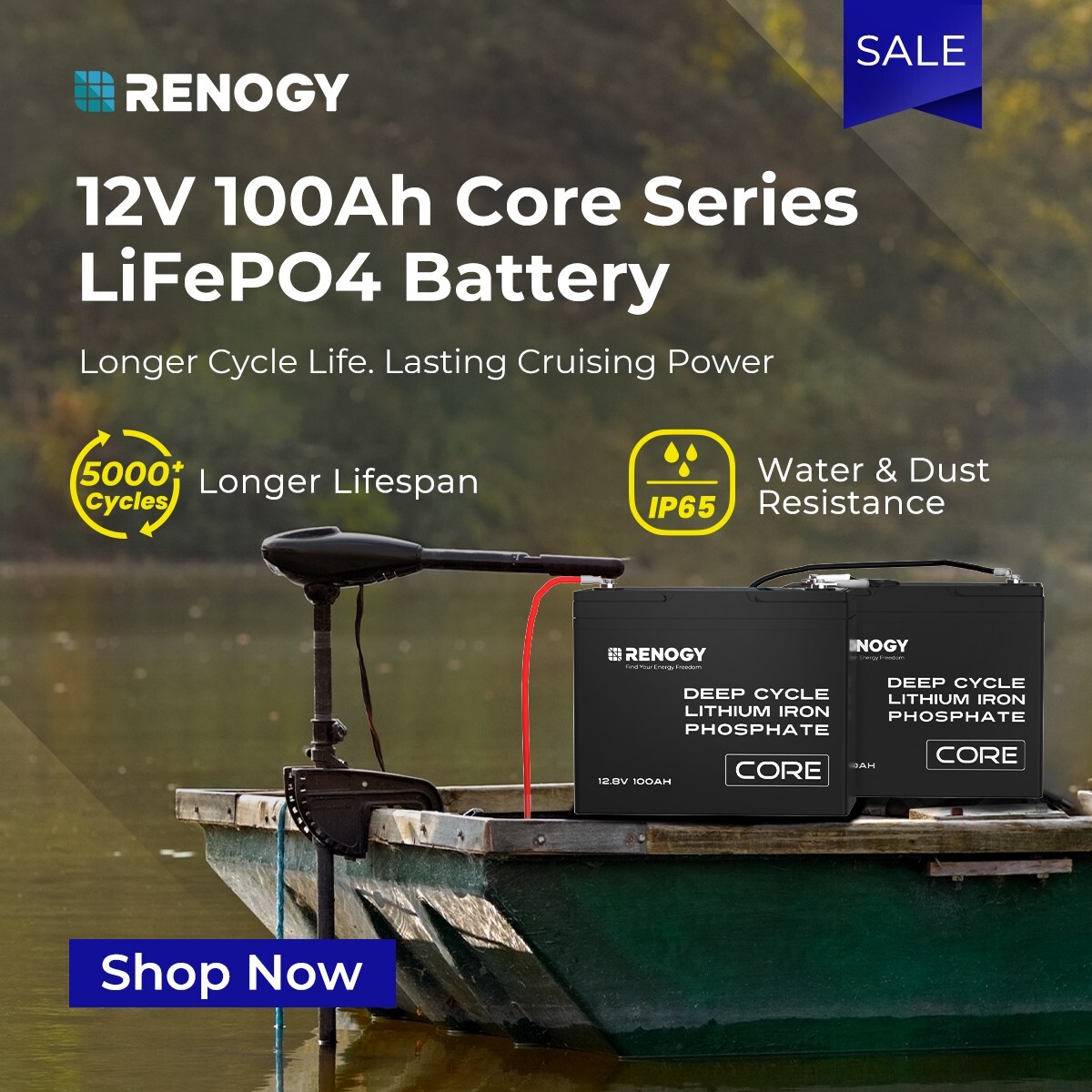 Renogy 100Ah Solar Battery 12V 24V 48V Lithium Iron Core 4WD LiFePO4 in
