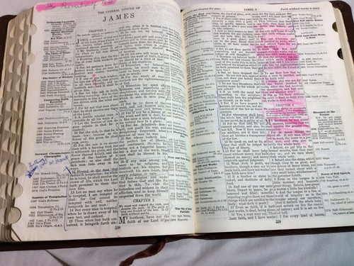 -Great 1964 Chain Reference Bible Leather B.B Kirkbride Red Letter KJV Thumb Ind - Imagen 9 de 12