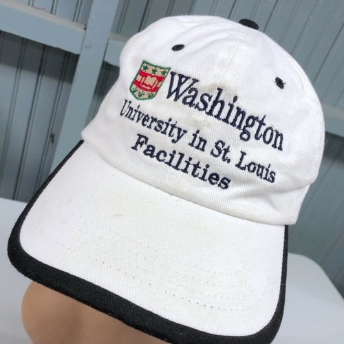 Washington State University St. Louis 