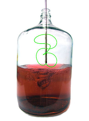 Clean Bottle Express  Wine/Beer DeGasser