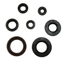Factory Spec Engine Oil Seal Kit 1988-2006 for Yamaha Blaster 200 YFS200