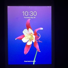 Apple iPad Air Series Tablet 16GB 9.7in Wi-Fi iOS, Silver