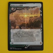 Windswept Heath NonFOIL MTG ZENDIKAR Full Art Play Condition