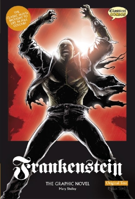 Frankenstein The Graphic Novel : Original Text by Mary Shelley Paperback Book - Image 4