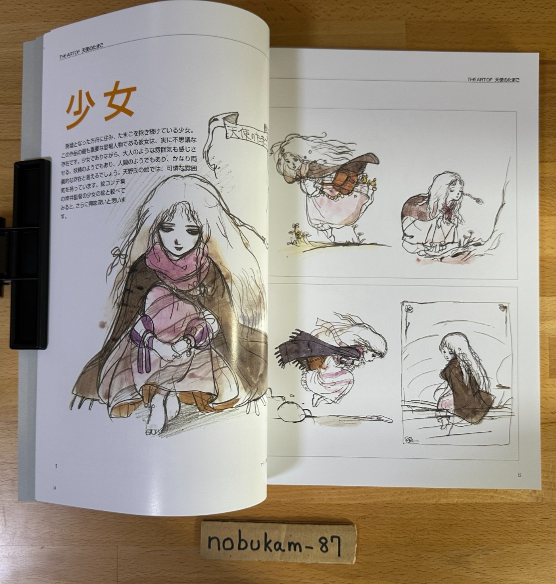 Mamoru Oshii The Art of Tenshi No Tamago Book Angel Egg Illust