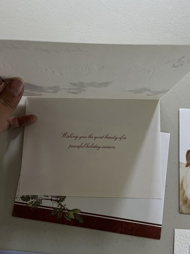 Cartoline di Natale Set di 5 Auguri Misti Stagione Festiva Amanti degli Animali del Cane - Foto 5 di 9