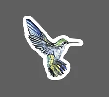 Hummingbird Sticker Colorful Waterproof Animal Outdoor Wildlife Gift NEW