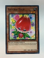 strawberry yugioh card Amazon.com: YU-GI-OH! - Naturia Strawberry (BP01-EN210) - Battle Pack: Epic  Dawn - Unlimited Edition main image 0