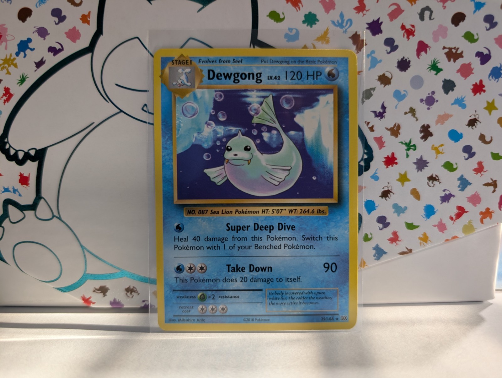 Pokemon XY Evolutions Dewgong 29/108