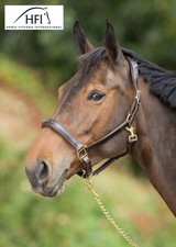 HFI Leather Halter Anatomic - Black Size Cob/VB