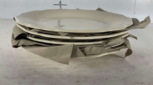 (5) Platos de cena The Pioneer Woman vaquera de encaje de lino de 10 3/4" - muy bonitos - Imagen 1 de 4