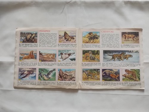 Album Figurine Mammiferi Edizione Panini 1976 - COMPLETO - - Picture 14 of 19