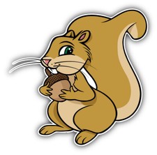Cute Squirrel Animal Car Bumper Sticker Decal - "SIZES"