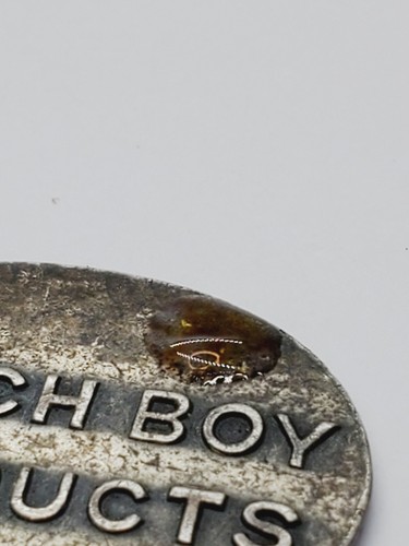 RARE! Vintage Dutch Boy Products Sterling Silver Keychain(31) - Foto 6 di 6