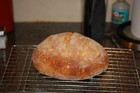 Bild 9 von 12