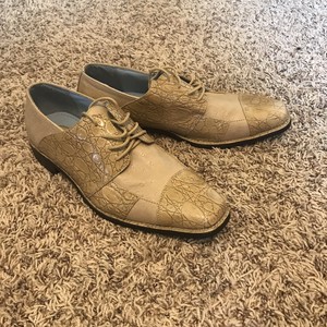 hugo vitelli alligator