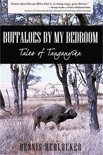 Buffaloes by My Bedroom Dennis Herlocker PB/1st SIGNED