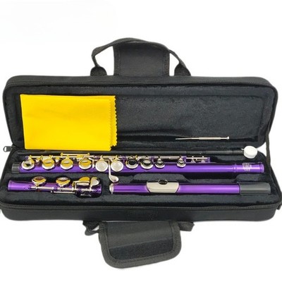  Flute 16 Close Holes C Keys Plated Purple Flute With E Key MFL-604