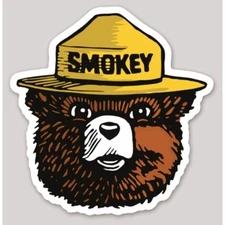 2 Inch Non-Reflective Smokey The Bear Prevent Forest Fires Vinyl Sticker