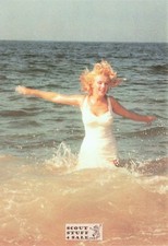 Marilyn Monroe Sam Shaw Photo Postcard by Classico San Francisco #105-218