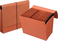 Heavy Duty Expanding File Folder Organizer,21 Pockets Accordion File Organizer,A