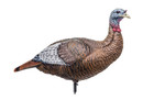 Thunder Chick Upright Hen Turkey Decoy - Brown