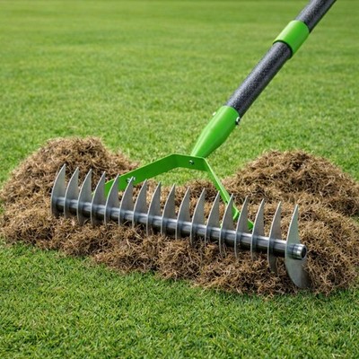 Thatch Rake for Lawn,13'' Wide Heavy Duty Steel Dethatcher Rake with 55'' Long ...