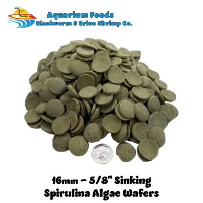 16mm-5/8'' MED/LG Spirulina Algae Sinking Wafers, Tropical Fish Food