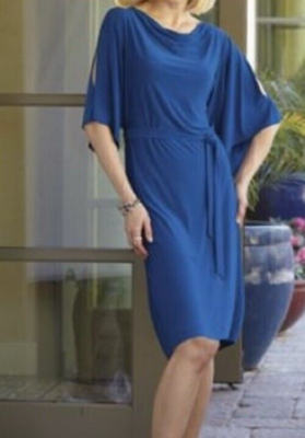 blue velvet shift dress size Large Blue Split Sleeve Emmani Shift Dress from Midnight Velvet new