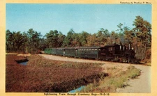 VINTAGE POSTCARD SIGHTSEEING TRAIN THROUGH CRANBERRY BOGS EDAVILLE PLANTATION