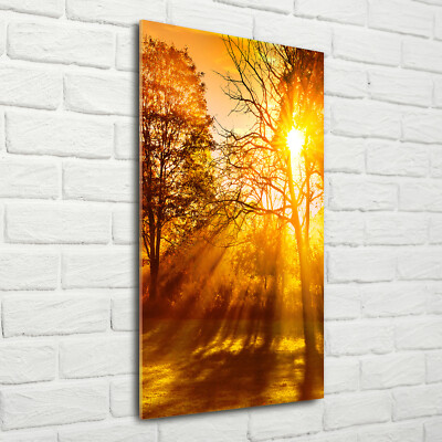 Wand-Bild Kunstdruck aus Hart-Glas Hochformat 70x140 Park im Herbst