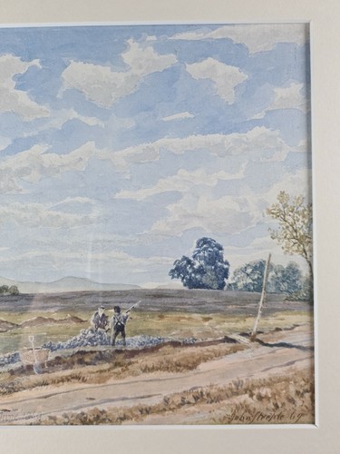 BREITHEIDE VON JOHN STURM RI 1823-1887 DATIERT 14. JUNI 1869 - Bild 8 von 12