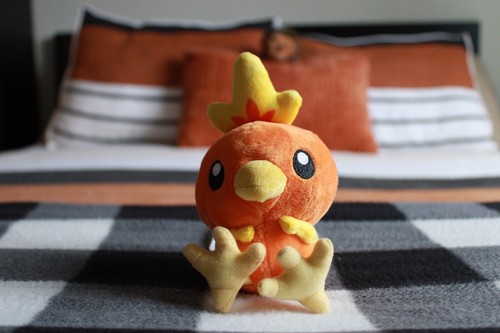 🚦Pokemon Torchic 6" Sitting Cuties Plush - Pokemon Center - 2021 NEW!