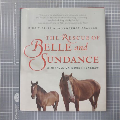 THE RESCUE OF BELLE AND SUNDANCE par Birgit Stutz & Lawrence Scanlan - couverture rigide - Photo 1 sur 2