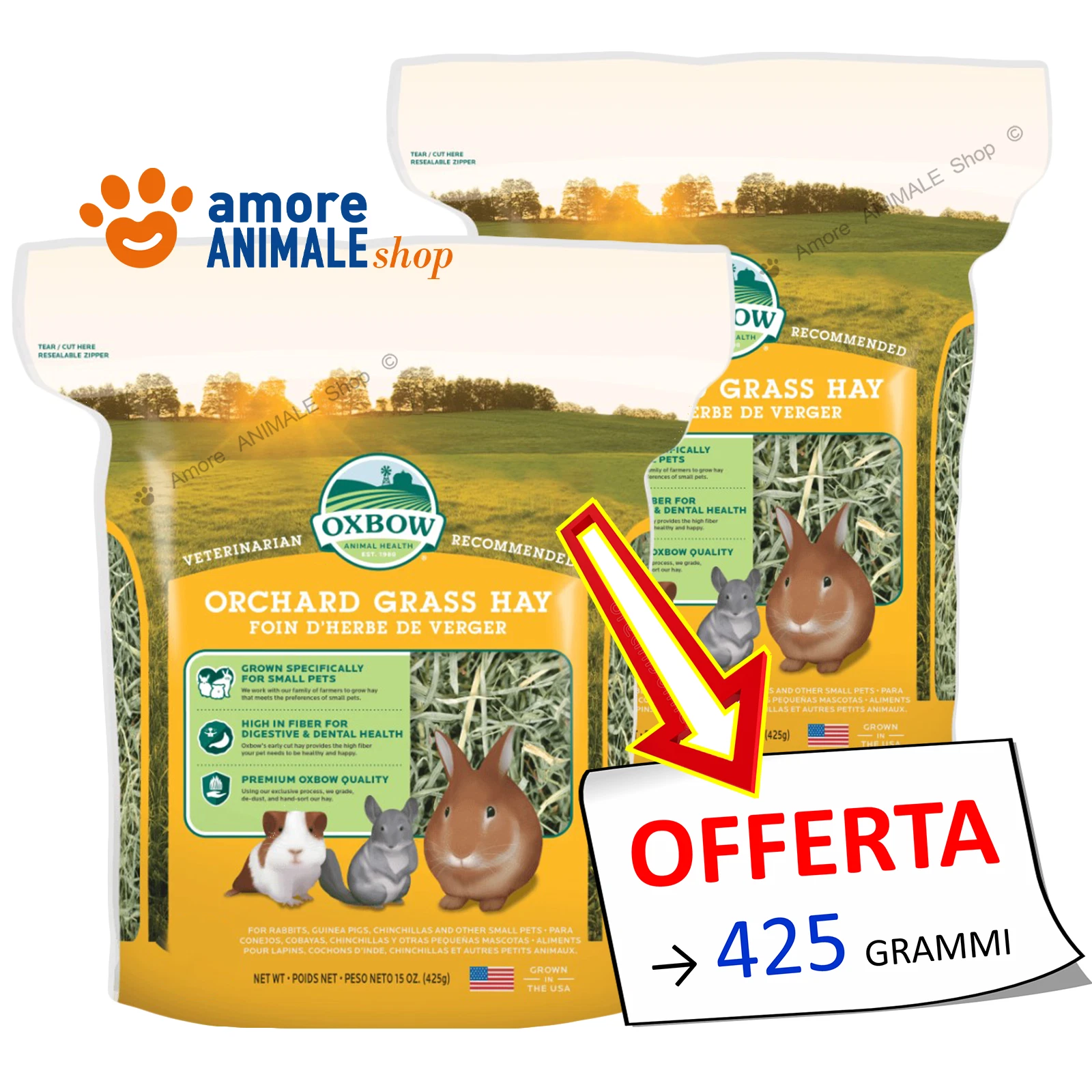 Foto 2 di 4