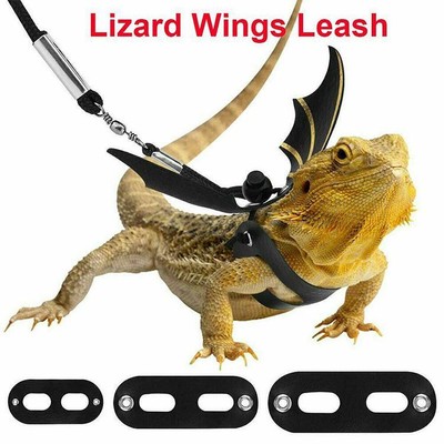 gecko leashes
