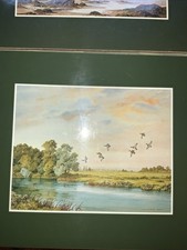 Six Cork Backed Wildfowl Scenes Placemats X 6