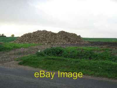 Foto 6x4 Noch ein Pfahl Crownthorpe Es scheint, dass im Spätherbst whe c2006