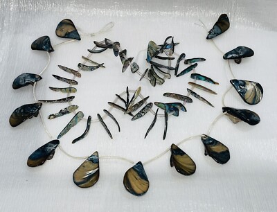Lot of 59 Polished Paua ABALONE Shell Jewelry 13 Full & 43 Half Moon