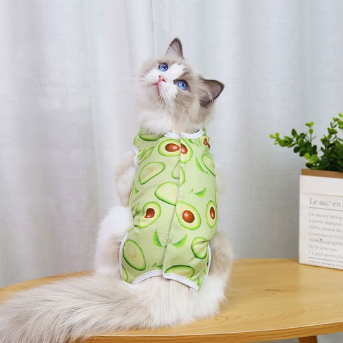 Perro Gato Traje de Recuperación Mascota Después de la Operación Herida Abdominal Ropa ☀ - Imagen 7 de 22