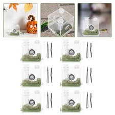 2 Count Spider Container Insect Enclosure House for Jumping
