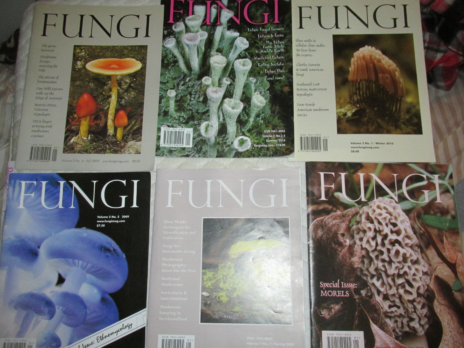 LOT OF 6 FUNGI Magazines- Issues 2008-2014 -Vol 1 No 1 Debut Mushroom Mycology