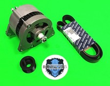 Polea y correa alternador Land Rover Defender 300 TDI 1996 a 1998 AMR4249